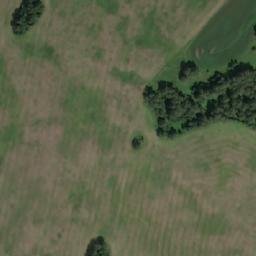 Satellite imagery of Мальцево, RU