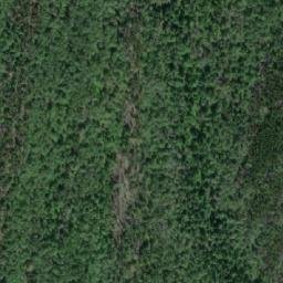 Satellite imagery of Grant Knob, CA
