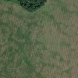 Satellite imagery of Мальцево, RU