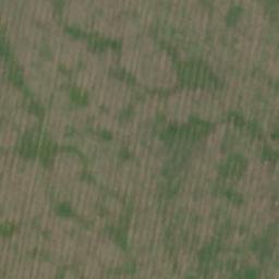 Satellite imagery of Мальцево, RU