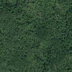 Satellite imagery of Grant Knob, CA