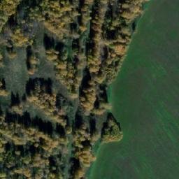 Satellite imagery of Боровская, RU