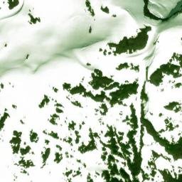 Satellite imagery of Indian Point, US