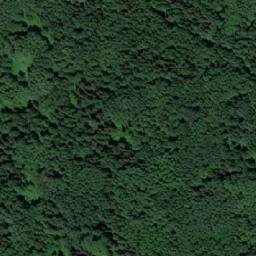 Satellite imagery of Растель, RU