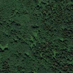 Satellite imagery of Растель, RU