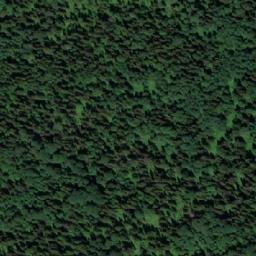 Satellite imagery of Растель, RU