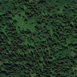 Satellite imagery of Растель, RU