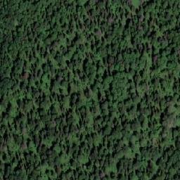 Satellite imagery of Верх. Думное, RU
