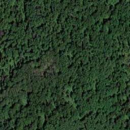 Satellite imagery of Верх. Думное, RU