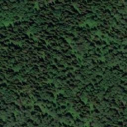 Satellite imagery of Растель, RU