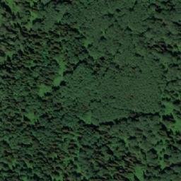Satellite imagery of Растель, RU