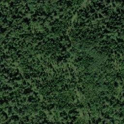 Satellite imagery of Голдобино, RU
