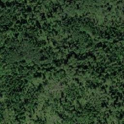 Satellite imagery of Голдобино, RU