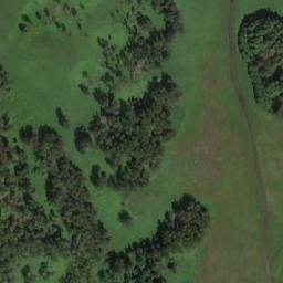 Satellite imagery of Лебяжья, RU