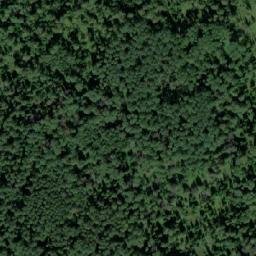 Satellite imagery of Голдобино, RU