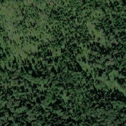 Satellite imagery of Голдобино, RU