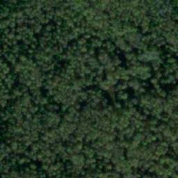 Satellite imagery of Черноборовка, RU