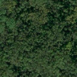 Satellite imagery of Черноборовка, RU
