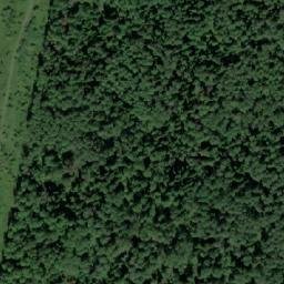 Satellite imagery of Голдобино, RU