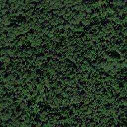 Satellite imagery of Голдобино, RU