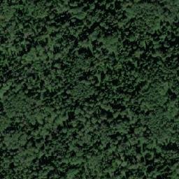 Satellite imagery of Голдобино, RU