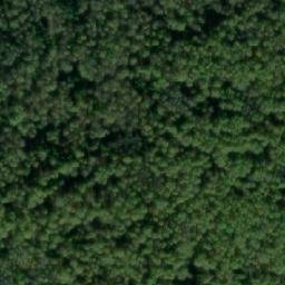 Satellite imagery of Черноборовка, RU