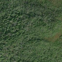 Satellite imagery of Point Borlase, US