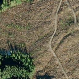 Satellite imagery of Dargun Point, US