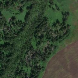 Satellite imagery of Лебяжья, RU