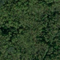 Satellite imagery of Черноборовка, RU