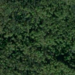 Satellite imagery of Черноборовка, RU