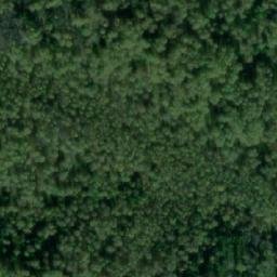 Satellite imagery of Черноборовка, RU