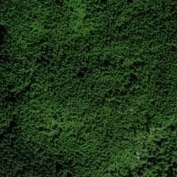 Satellite imagery of White Cliff, US