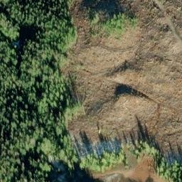 Satellite imagery of Dargun Point, US