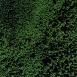 Satellite imagery of White Cliff, US