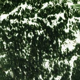 Satellite imagery of survey_point, CA