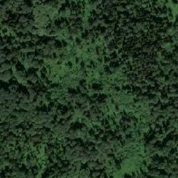 Satellite imagery of Лесоучасток 28-й, RU