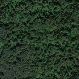 Satellite imagery of Лесоучасток 28-й, RU