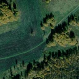 Satellite imagery of Куликова Гора Нов., RU