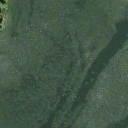 Satellite imagery of Kwati Point, US