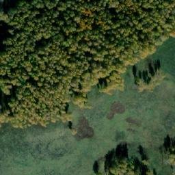 Satellite imagery of Куликова Гора Нов., RU