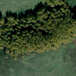 Satellite imagery of Куликова Гора Нов., RU