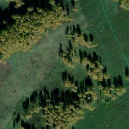 Satellite imagery of Куликова Гора Нов., RU