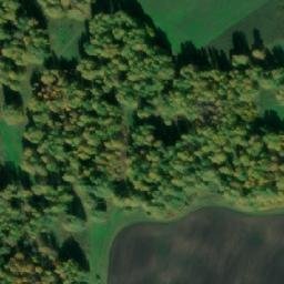 Satellite imagery of Новомитяново, RU