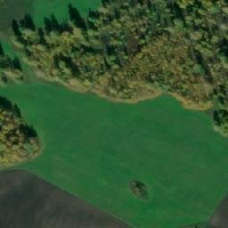Satellite imagery of Новомитяново, RU