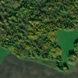 Satellite imagery of Новомитяново, RU