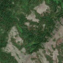 Satellite imagery of Mount McAllister, CA