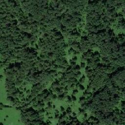 Satellite imagery of Бородавка, RU