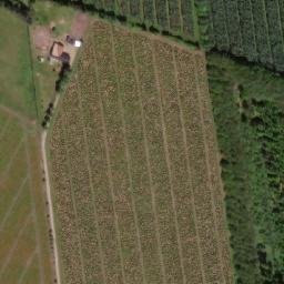Satellite imagery of Svollibjerg, DK