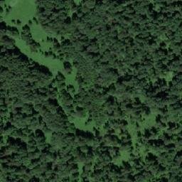 Satellite imagery of Бородавка, RU